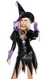 Sexy Wicked Witch Spellbound Halloween Costume